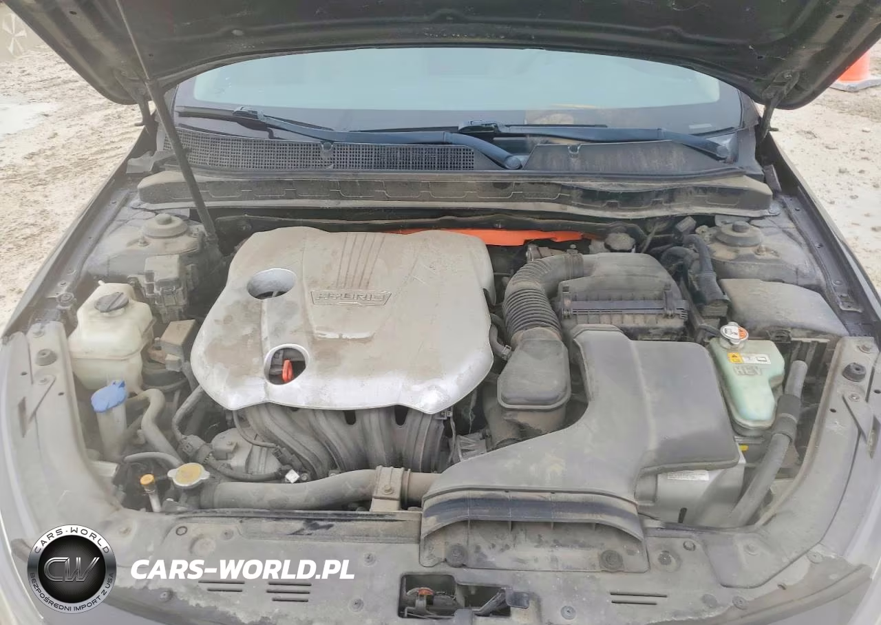 2014 Kia Optima Hybrid VIN:KNAGM4ADXE5071998 - 11