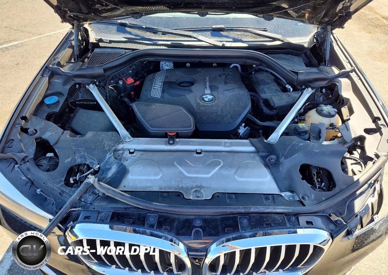 2019 BMW X3 Sdrive30I VIN:5UXTR7C5XKLF26836 - 12