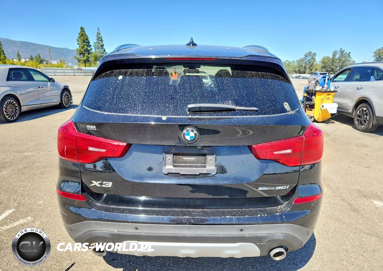 2019 BMW X3 Sdrive30I VIN:5UXTR7C5XKLF26836 - 6
