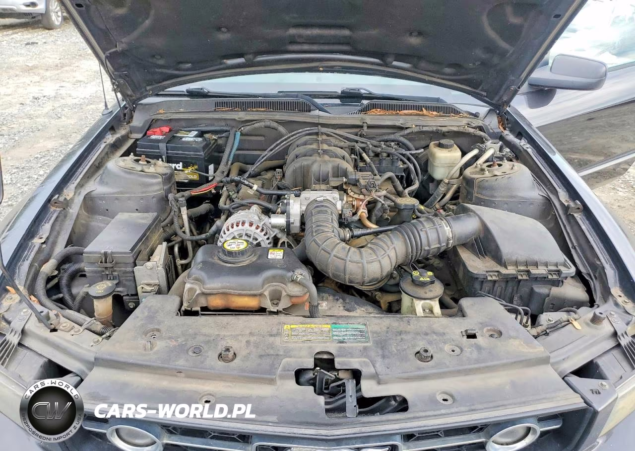 2007 Ford Mustang VIN:1ZVFT80NX75243160 - 11