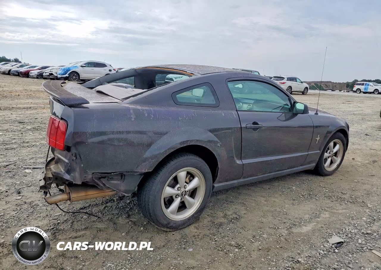 2007 Ford Mustang VIN:1ZVFT80NX75243160 - 3