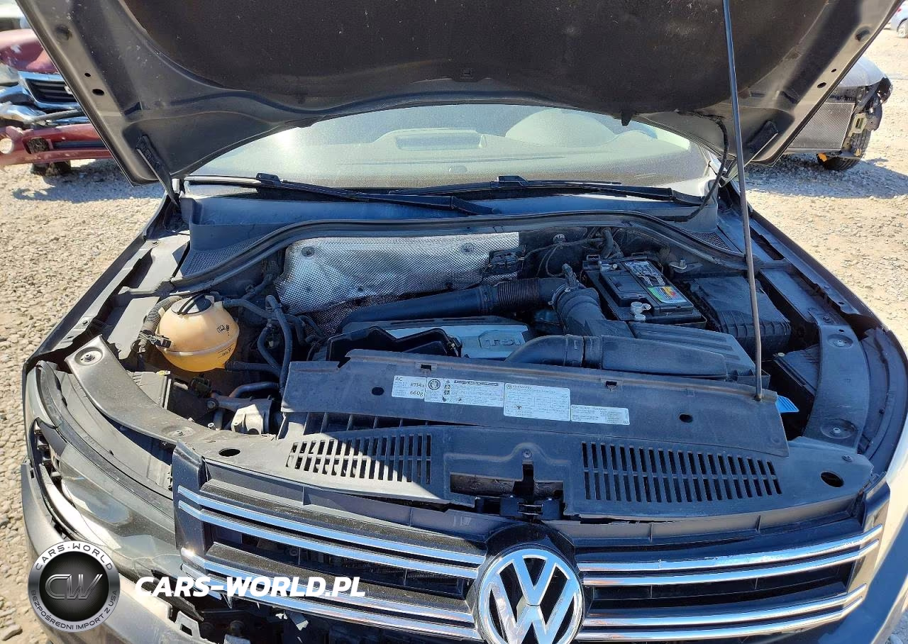 2012 Volkswagen Tiguan S VIN:WVGAV7AX3CW006303 - 12