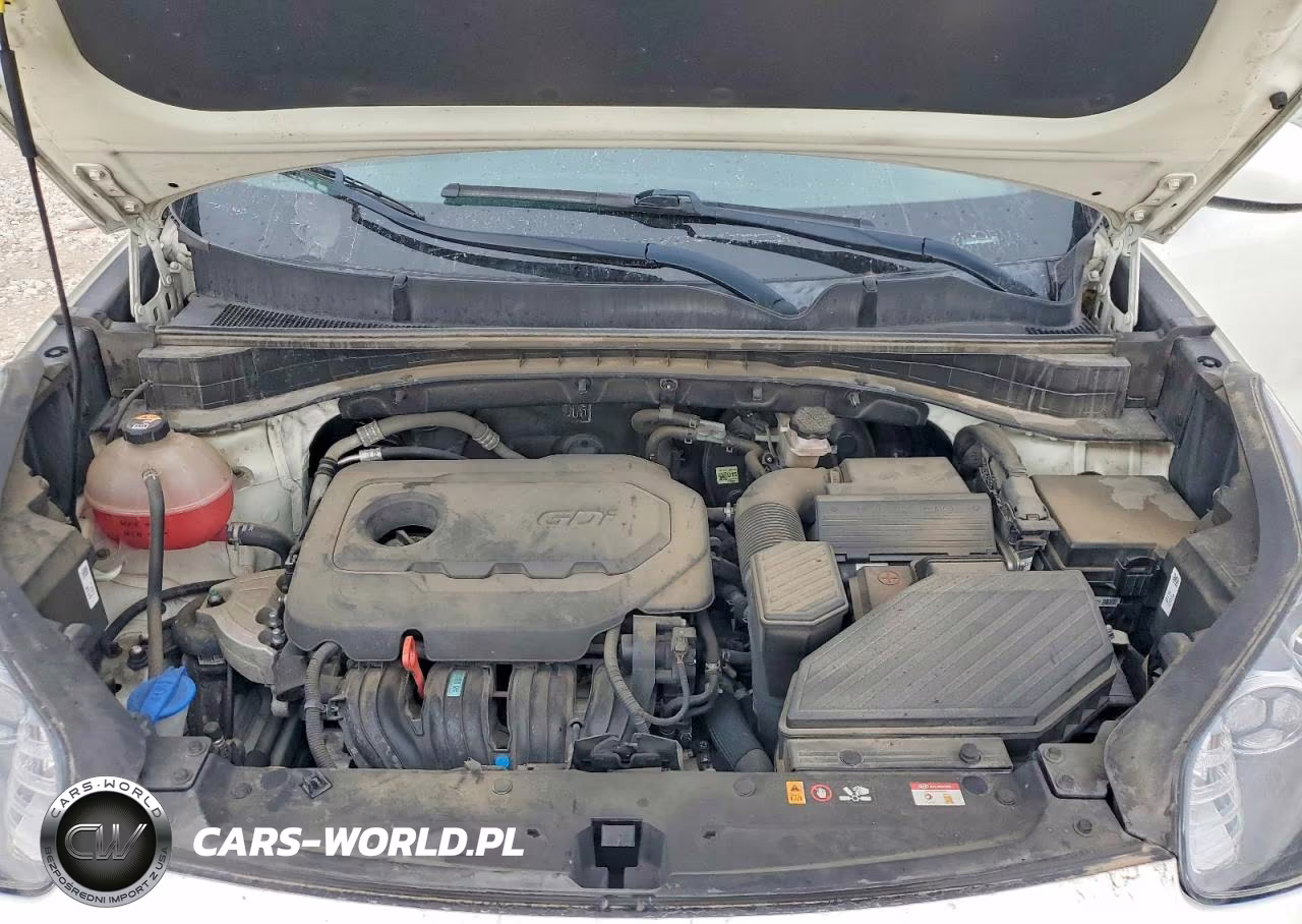 2022 Kia Sportage Lx VIN:KNDPM3AC7N7991872 - 12