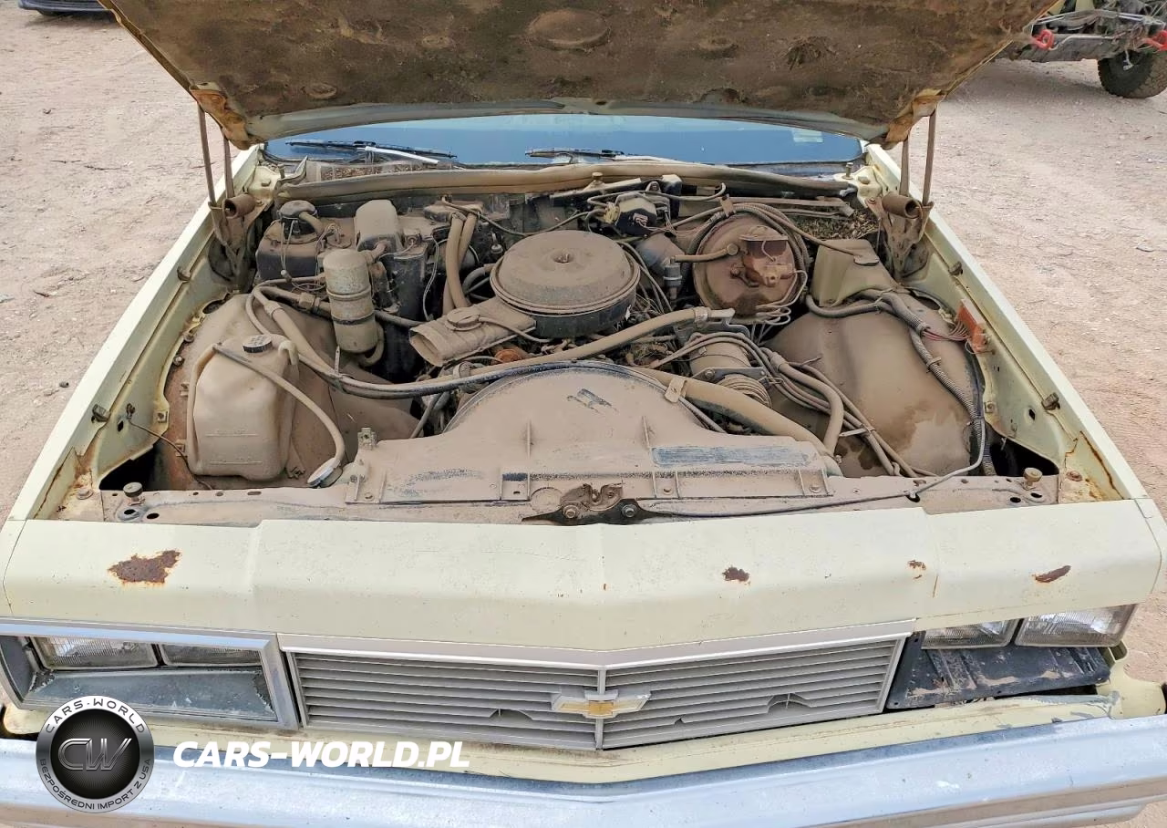 1979 Chev Impala VIN:1L69G9C172165 - 11