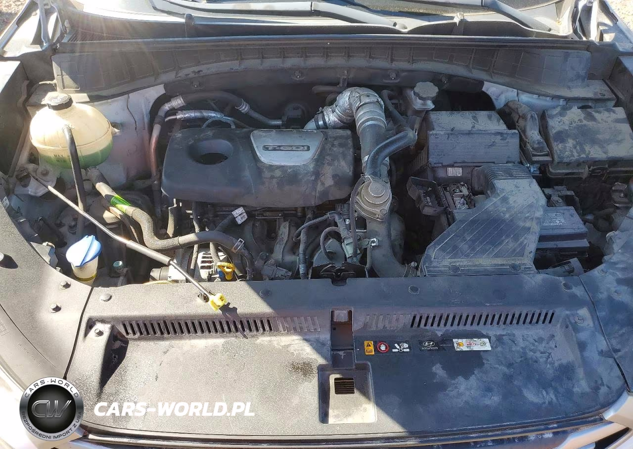2018 Hyundai Tucson Value VIN:KM8J3CA24JU692184 - 12