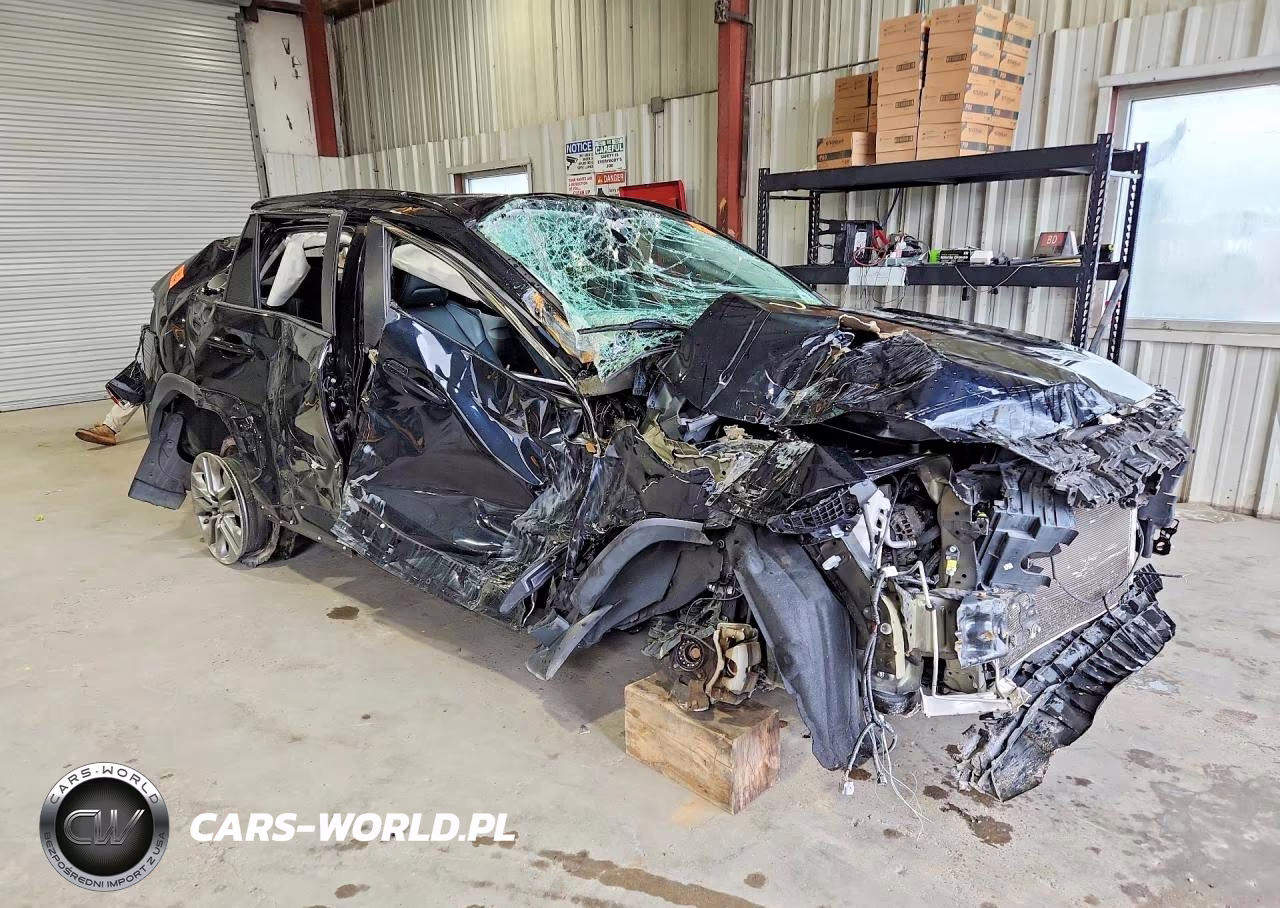 2019 Toyota Rav4 Xle Premium VIN:2T3C1RFV1KC025233 - 4