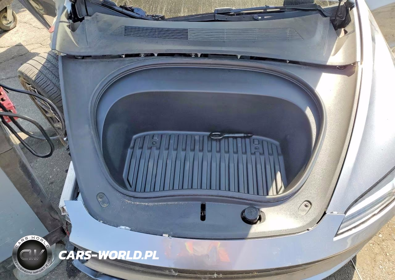2024 Tesla Model 3 VIN:5YJ3E1EA9RF869491 - 11