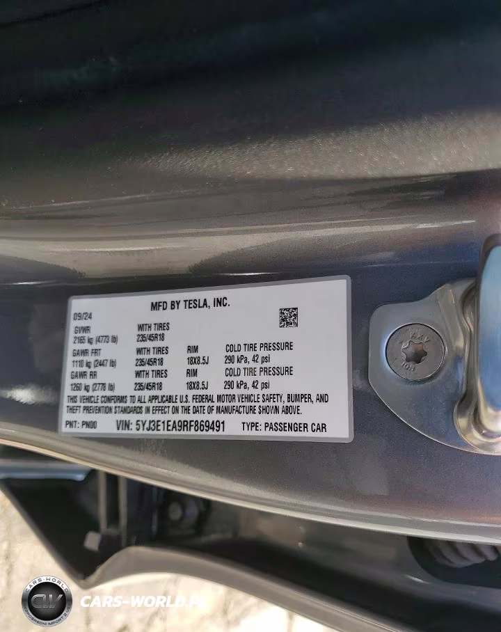 2024 Tesla Model 3 VIN:5YJ3E1EA9RF869491 - 12