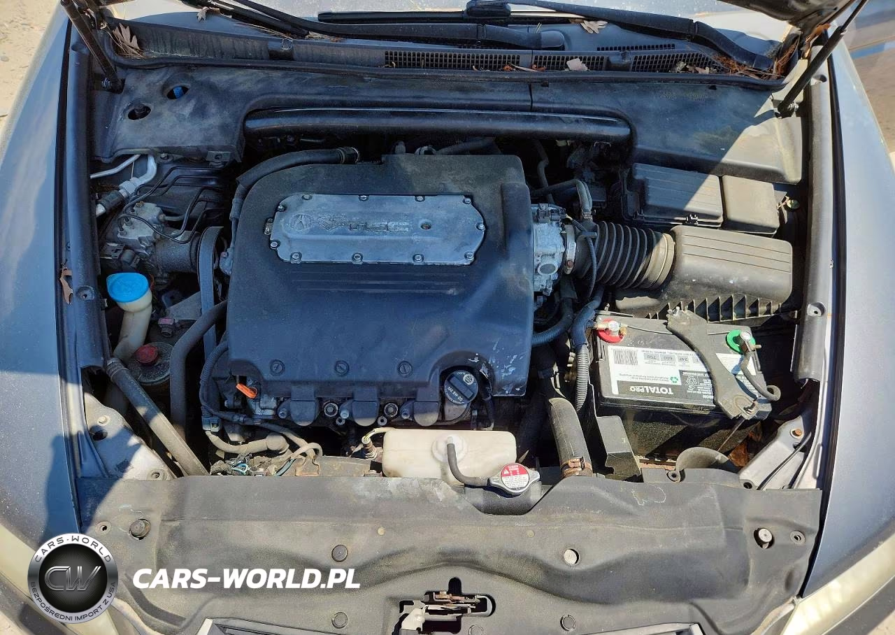 2006 Acura 3.2Tl VIN:19UUA66246A069076 - 11