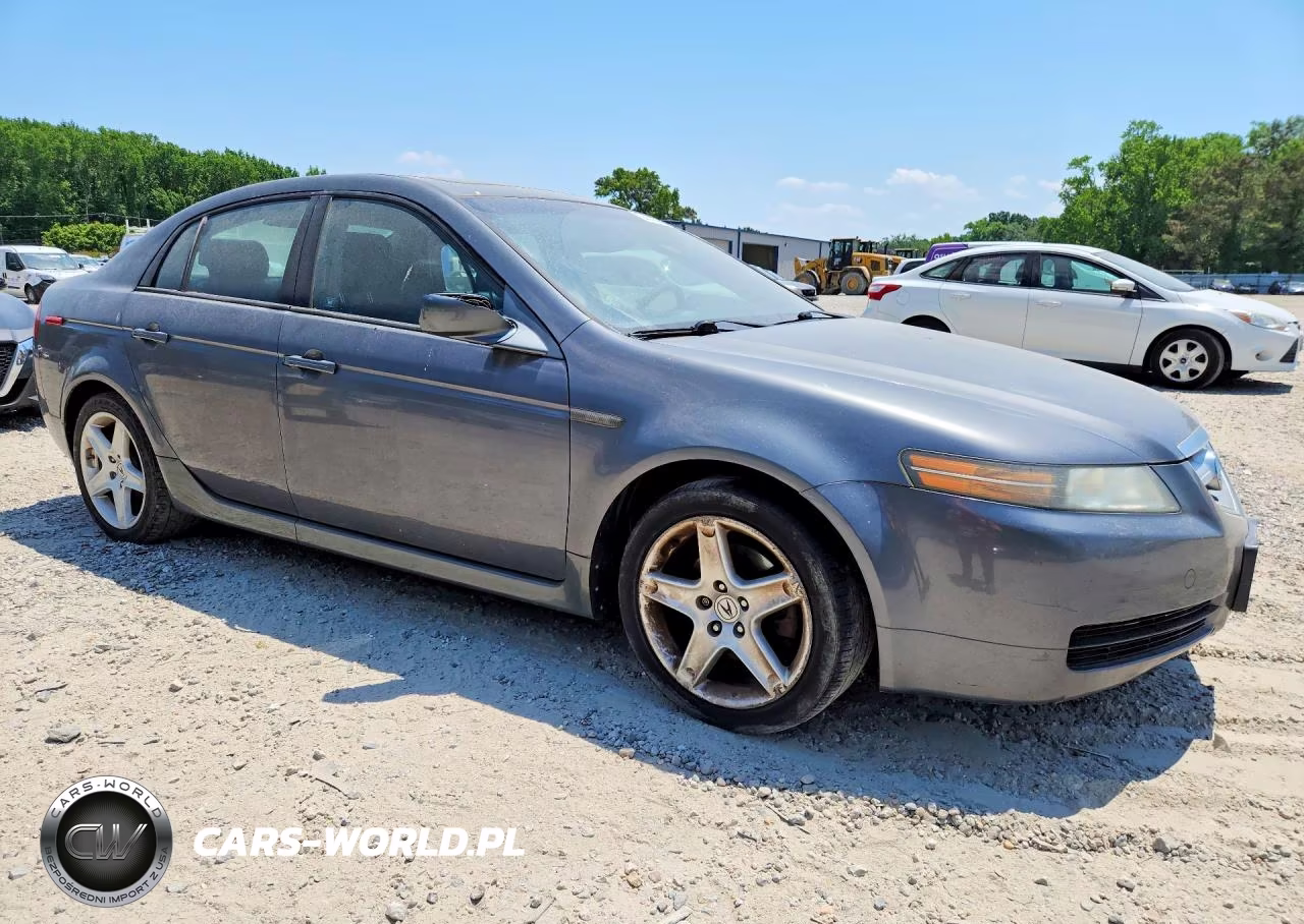 2006 Acura 3.2Tl VIN:19UUA66246A069076 - 4