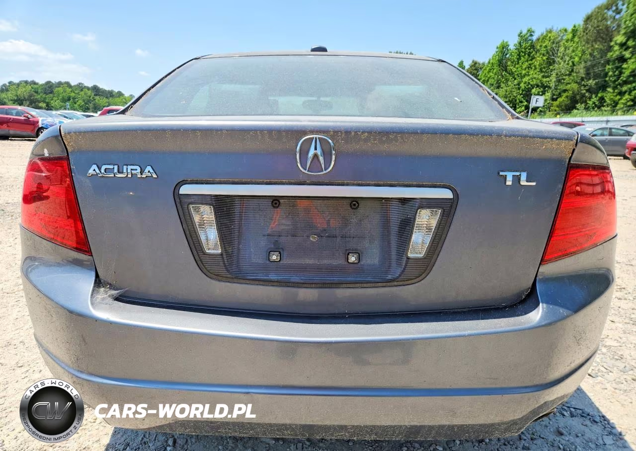 2006 Acura 3.2Tl VIN:19UUA66246A069076 - 6