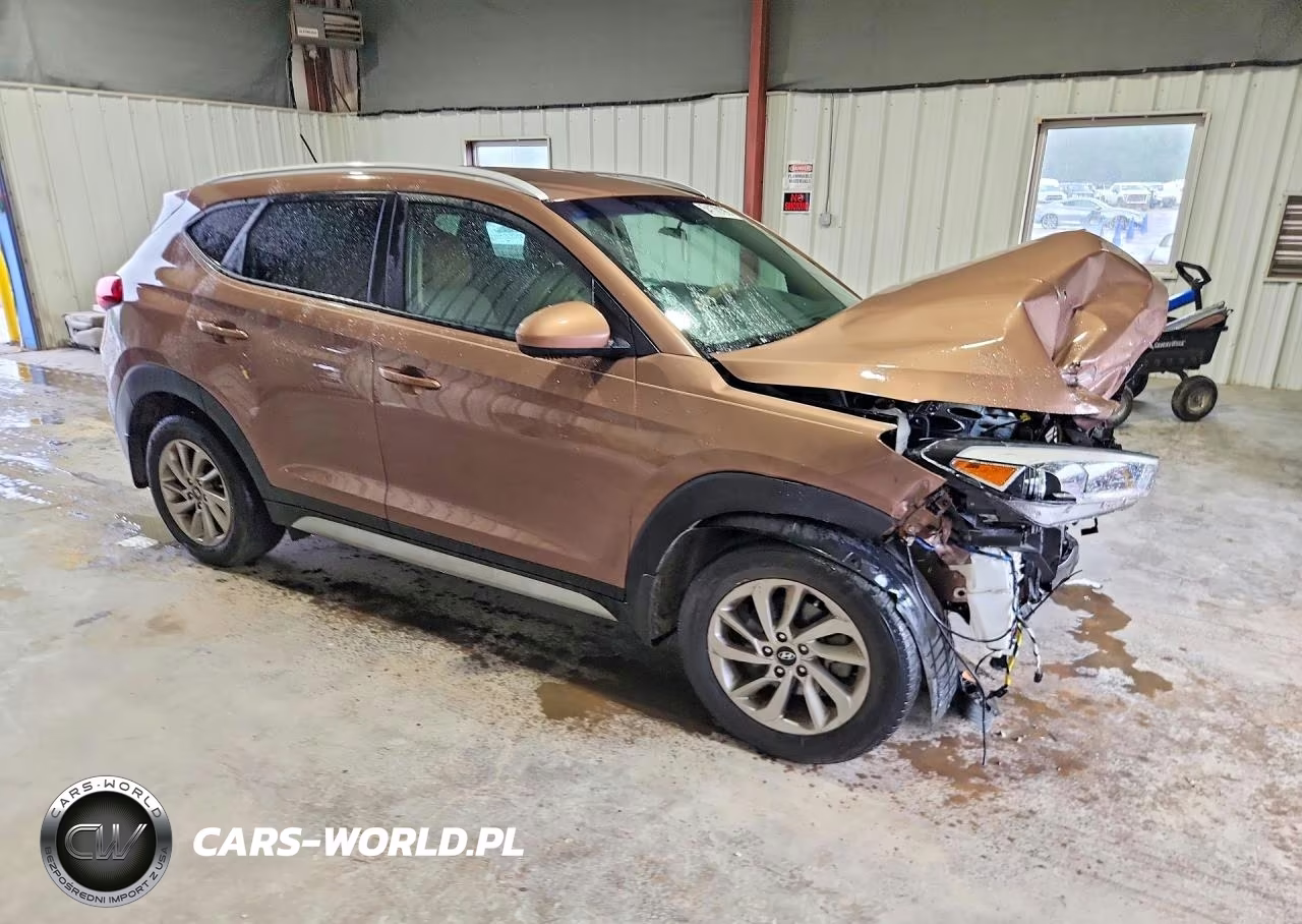 2017 Hyundai Tucson Se VIN:KM8J3CA43HU465127 - 4