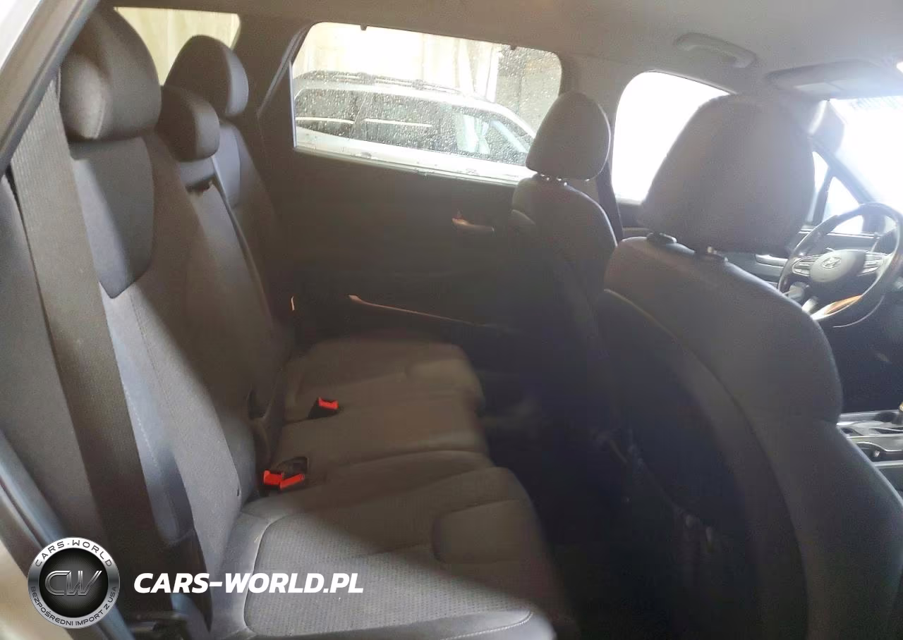 2019 Hyundai Santa Fe Sel Plus 2.4L VIN:5NMS3CAD2KH124714 - 11