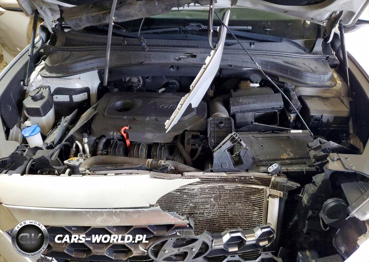 2019 Hyundai Santa Fe Sel Plus 2.4L VIN:5NMS3CAD2KH124714 - 12
