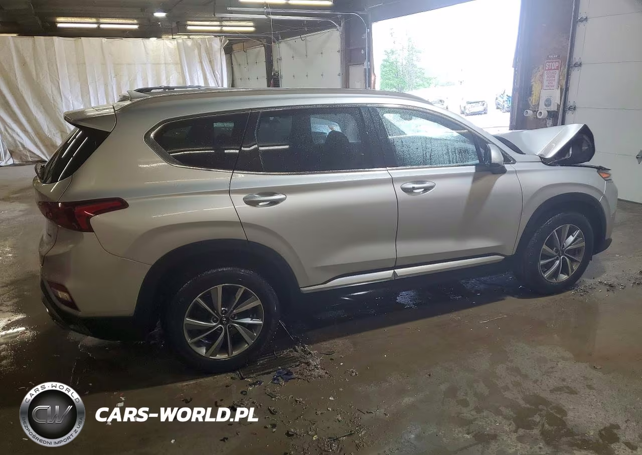 2019 Hyundai Santa Fe Sel Plus 2.4L VIN:5NMS3CAD2KH124714 - 3