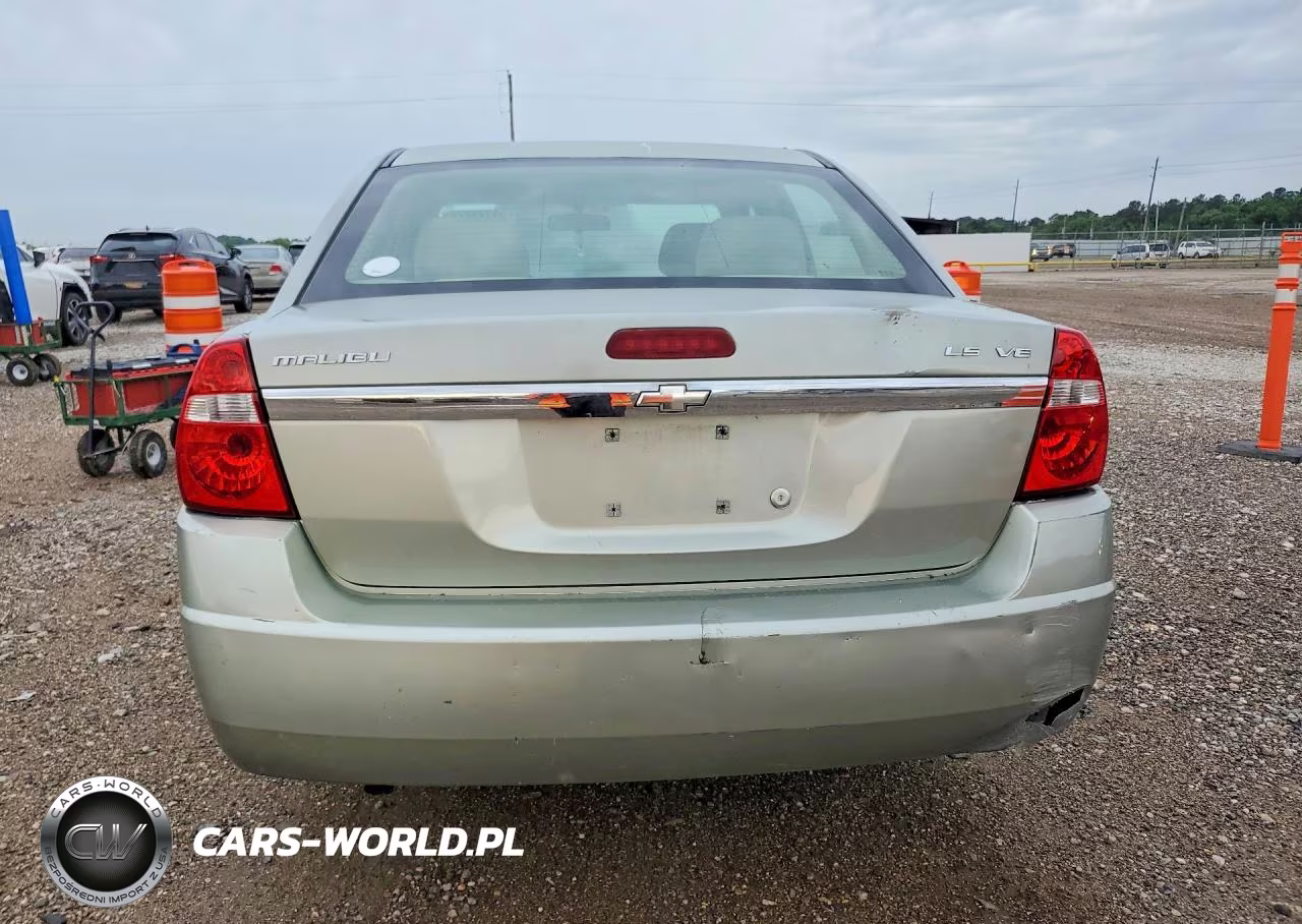 2006 Chevrolet Malibu Lt VIN:1G1ZT51896F217139 - 6