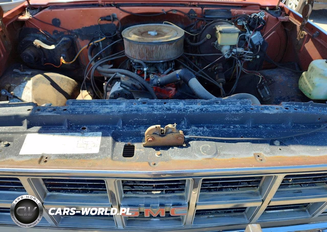 1982 GMC C1500 VIN:2GTDC14H3C1544693 - 11