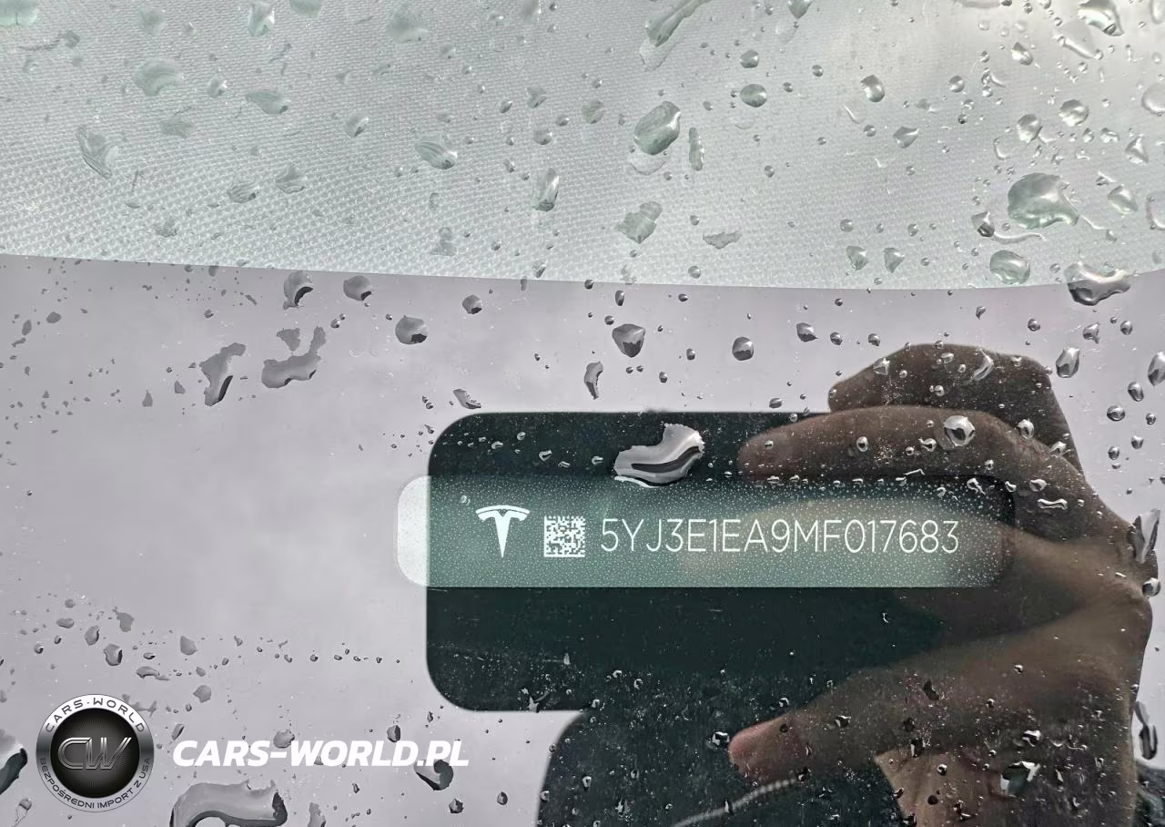 2021 Tesla Model 3 VIN:5YJ3E1EA9MF017683 - 10