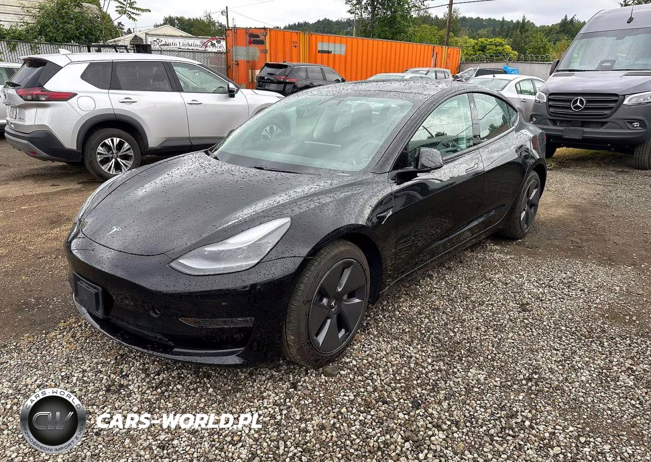 2021 Tesla Model 3 VIN:5YJ3E1EA9MF017683 - 2
