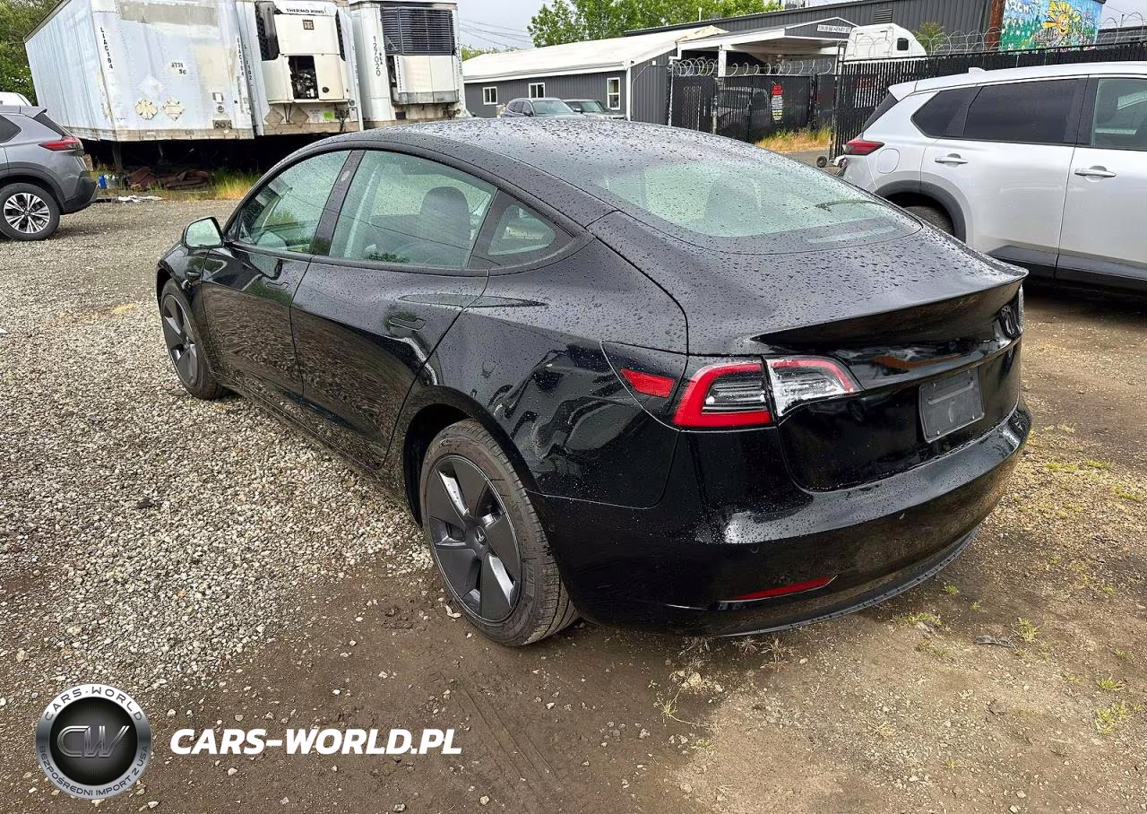 2021 Tesla Model 3 VIN:5YJ3E1EA9MF017683 - 3