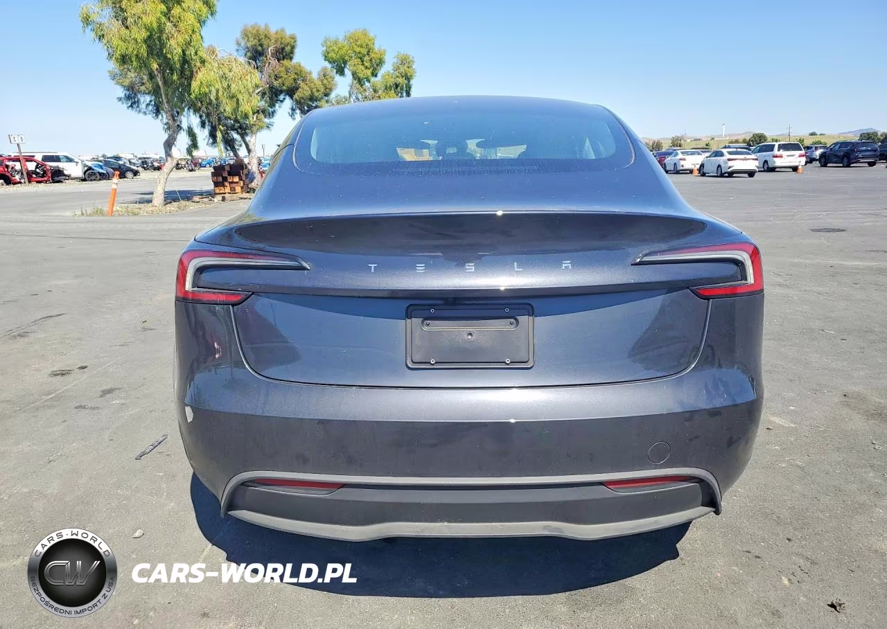 2025 Tesla Model 3 VIN:5YJ3E1EA9SF001691 - 6