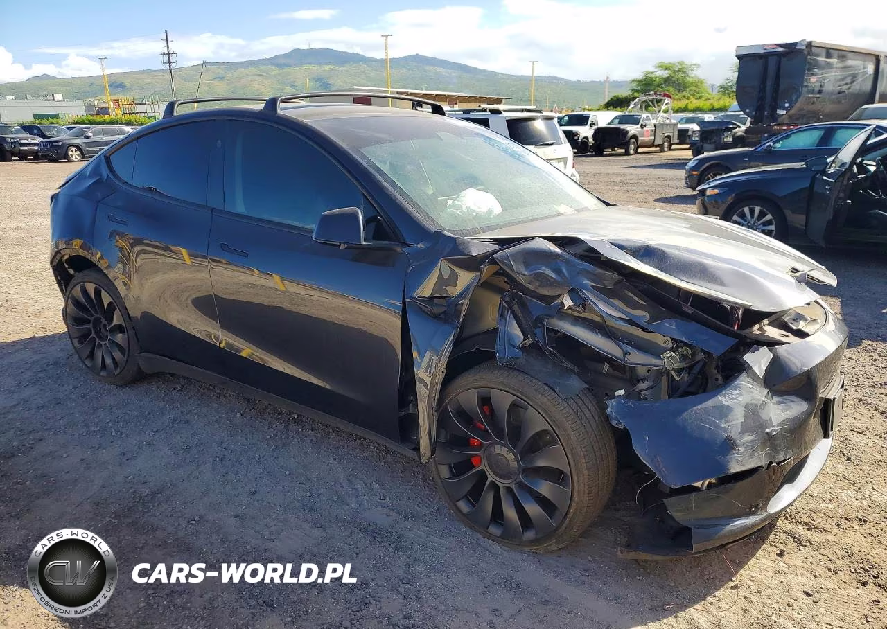 2024 Tesla Model Y Performance Dual Motor All-Wheel Drive VIN:7SAYGDEF4RF086532 - 4