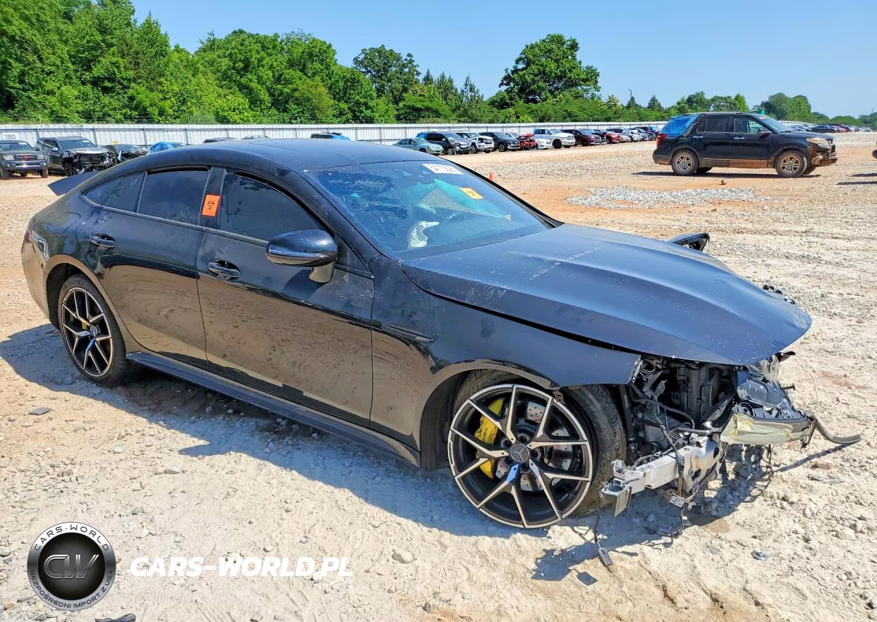 2019 Mercedes-Benz Amg Gt 53 VIN:WDD7X6BB8KA004070 - 4