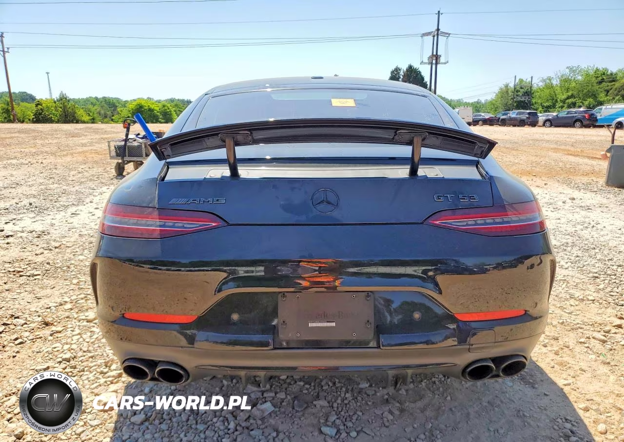 2019 Mercedes-Benz Amg Gt 53 VIN:WDD7X6BB8KA004070 - 6