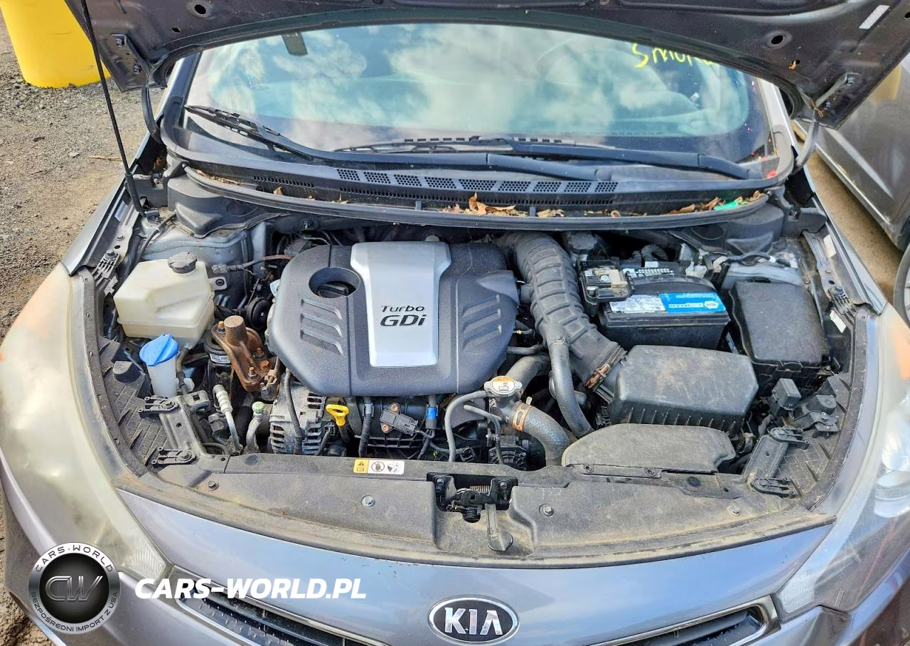 2016 Kia Forte Sx VIN:KNAFZ5A35G5592172 - 11