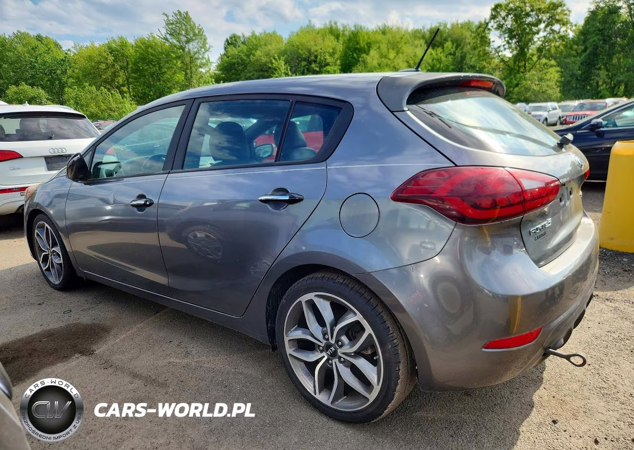 2016 Kia Forte Sx VIN:KNAFZ5A35G5592172 - 2
