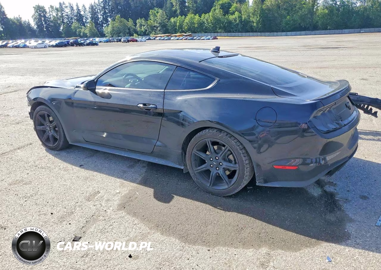 2020 Ford Mustang VIN:1FA6P8TH7L5173551 - 2