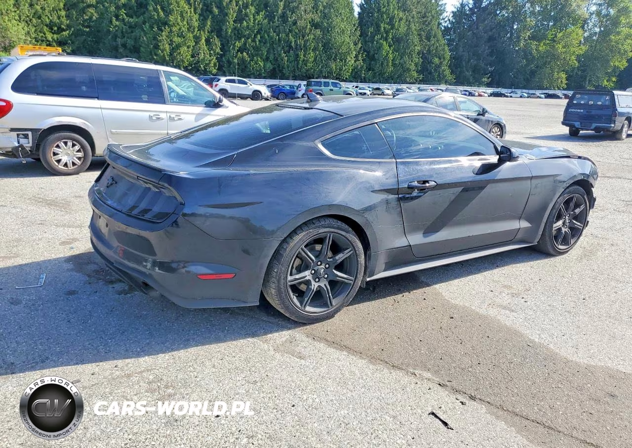 2020 Ford Mustang VIN:1FA6P8TH7L5173551 - 3