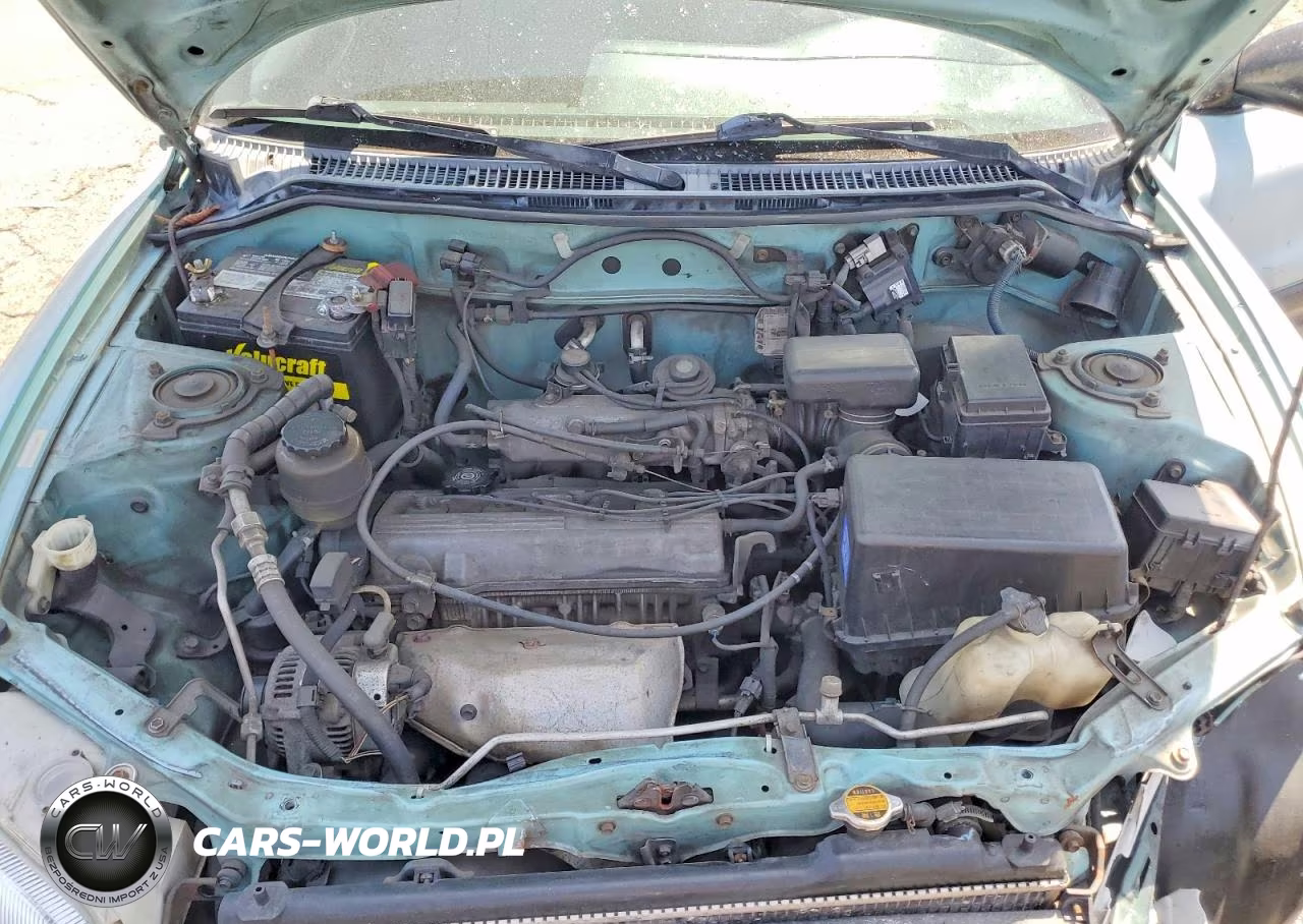 1997 Toyt Rav4 VIN:JT3XP10V3V0007158 - 12