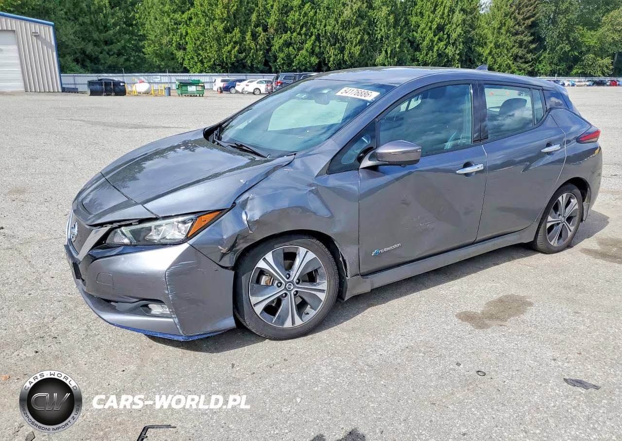 2019 Nissan Leaf Sl Plus