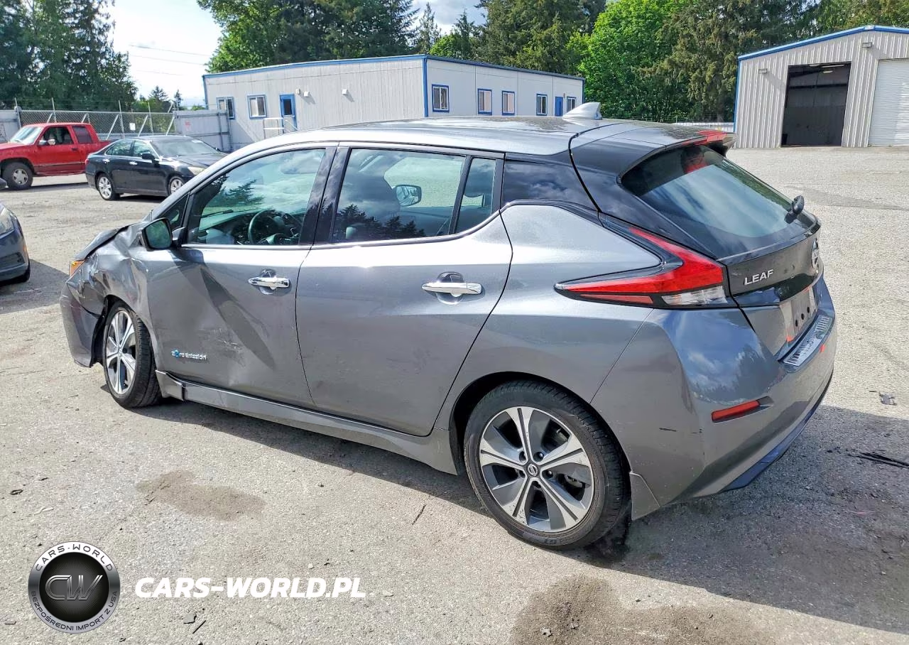 2019 Nissan Leaf Sl Plus VIN:1N4BZ1CPXKC309690 - 2