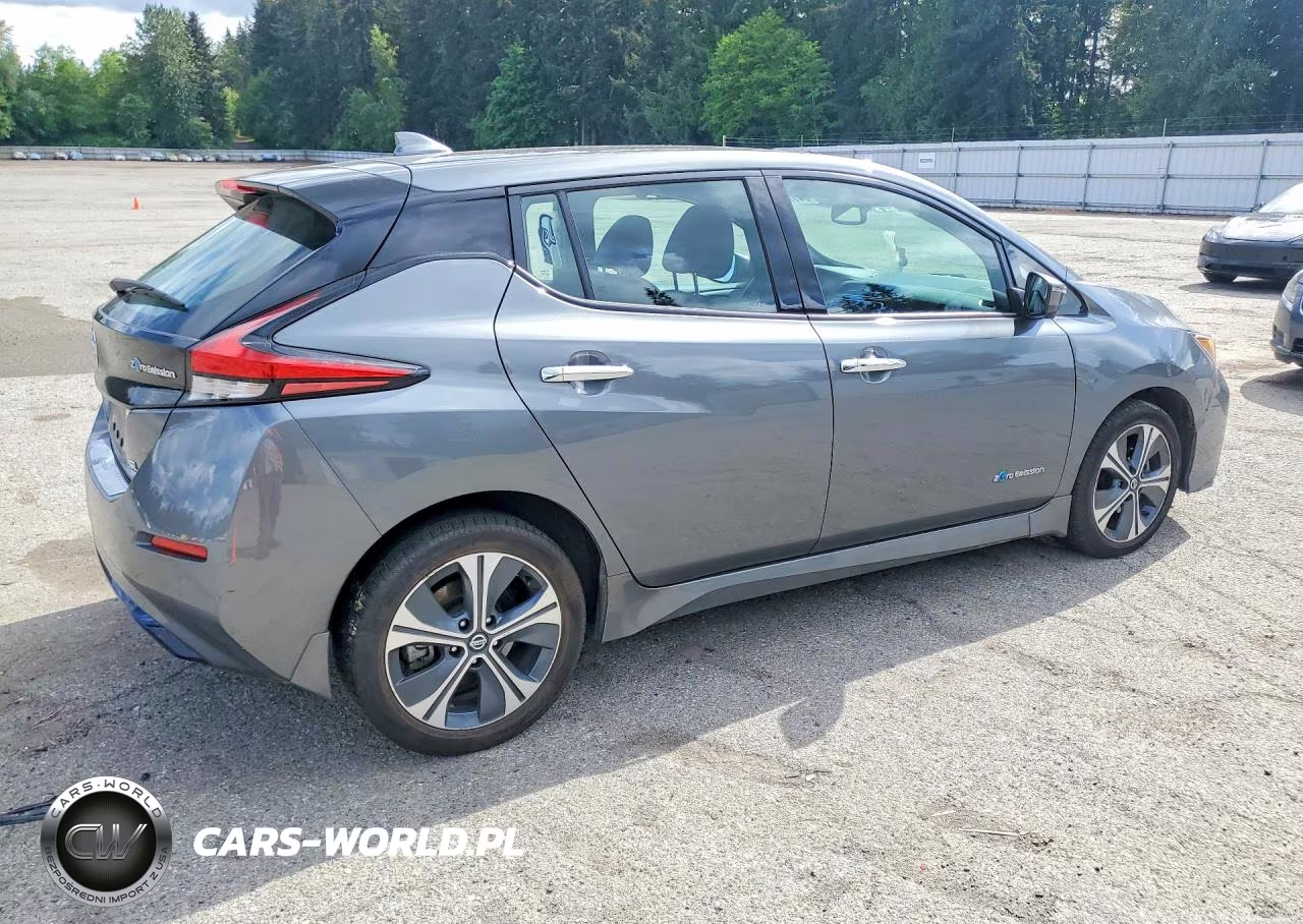 2019 Nissan Leaf Sl Plus VIN:1N4BZ1CPXKC309690 - 3