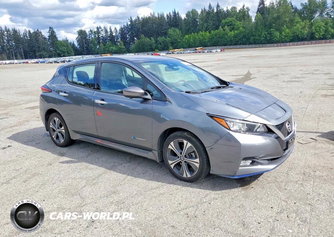 2019 Nissan Leaf Sl Plus VIN:1N4BZ1CPXKC309690 - 4