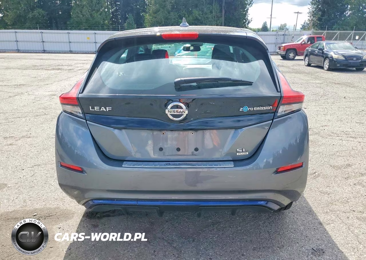 2019 Nissan Leaf Sl Plus VIN:1N4BZ1CPXKC309690 - 6