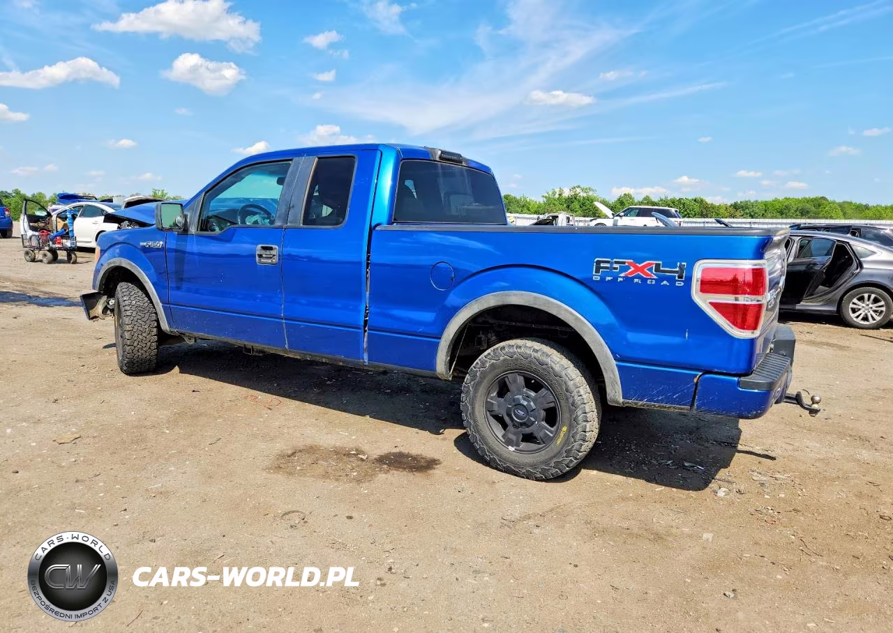 2009 Ford F150 Super Cab VIN:1FTPX14V59KC88248 - 2