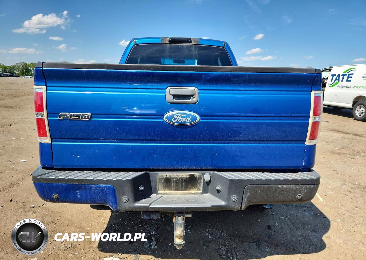2009 Ford F150 Super Cab VIN:1FTPX14V59KC88248 - 6