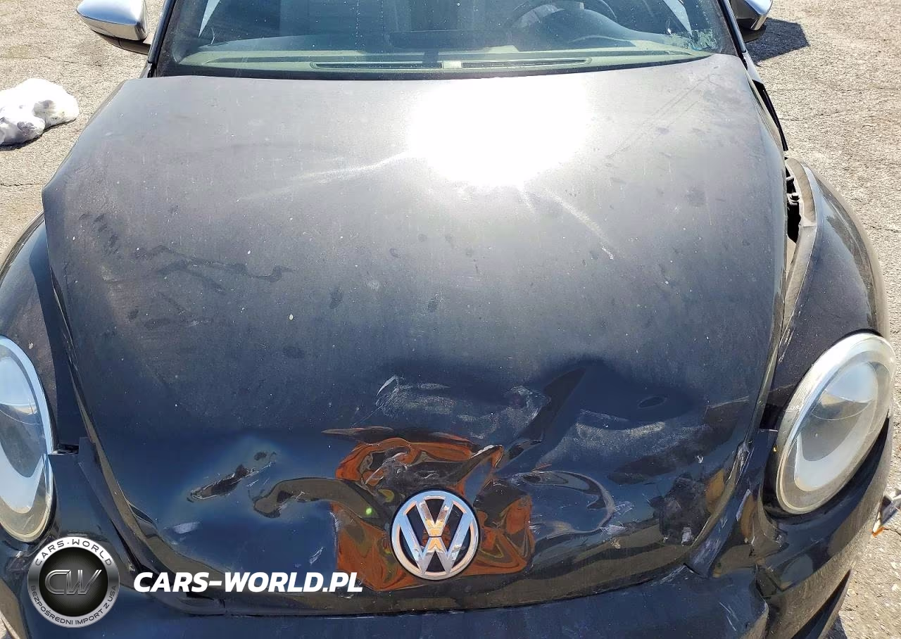 2013 Volks Beetle VIN:3VW5P7AT8DM804906 - 11