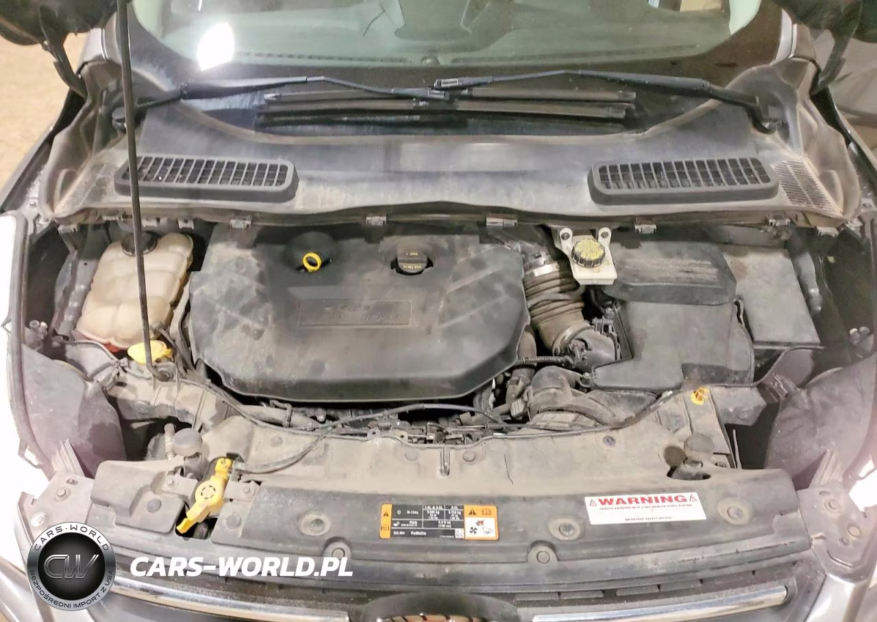 2014 Ford Escape Se VIN:1FMCU9G93EUD74074 - 12