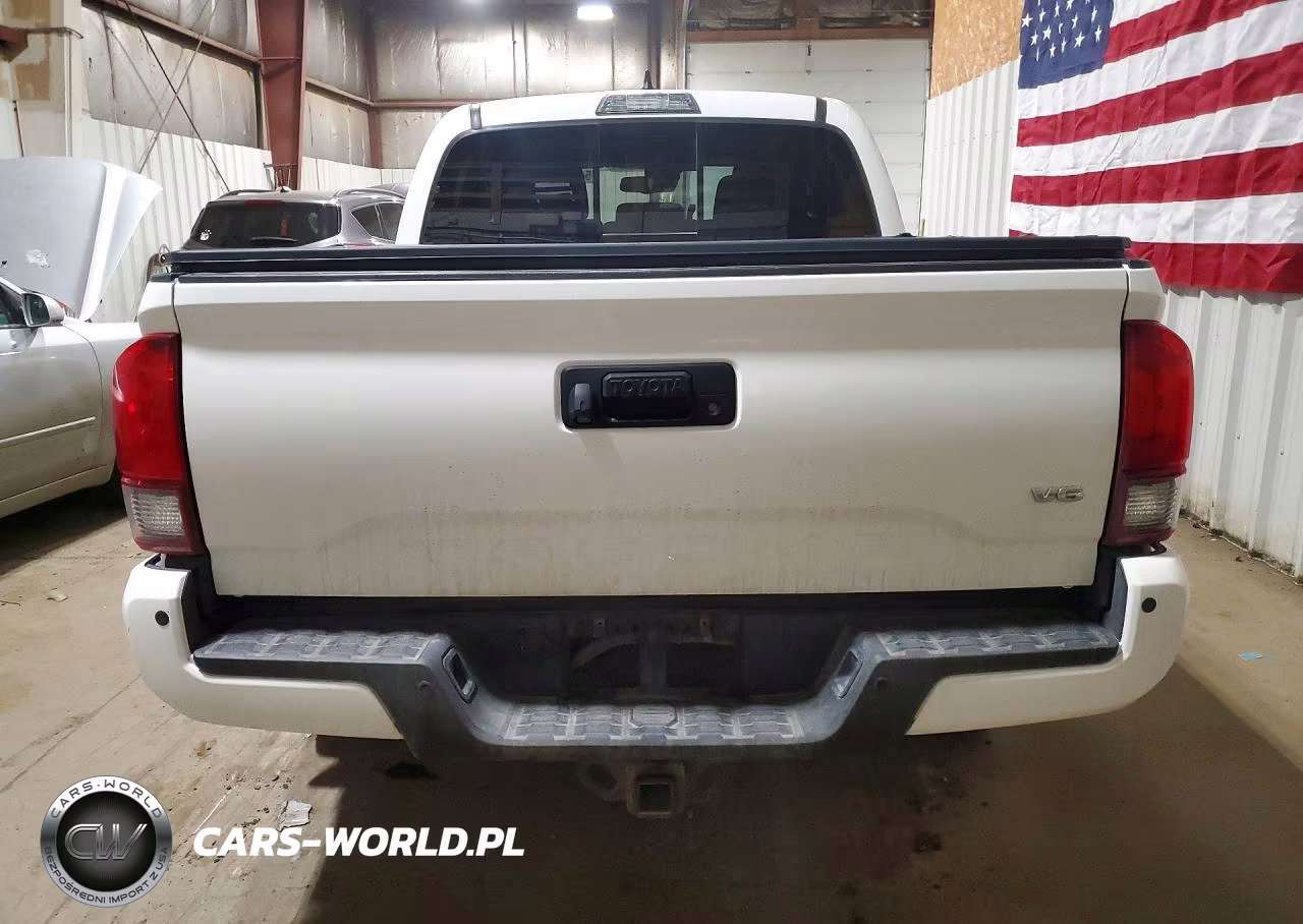 2019 Toyota Tacoma Trd Off-Road VIN:3TMCZ5AN8KM277571 - 6