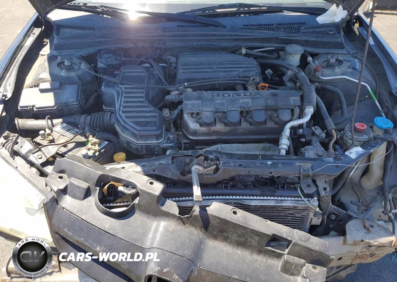 2004 Honda Civic Lx VIN:2HGES16554H543341 - 11