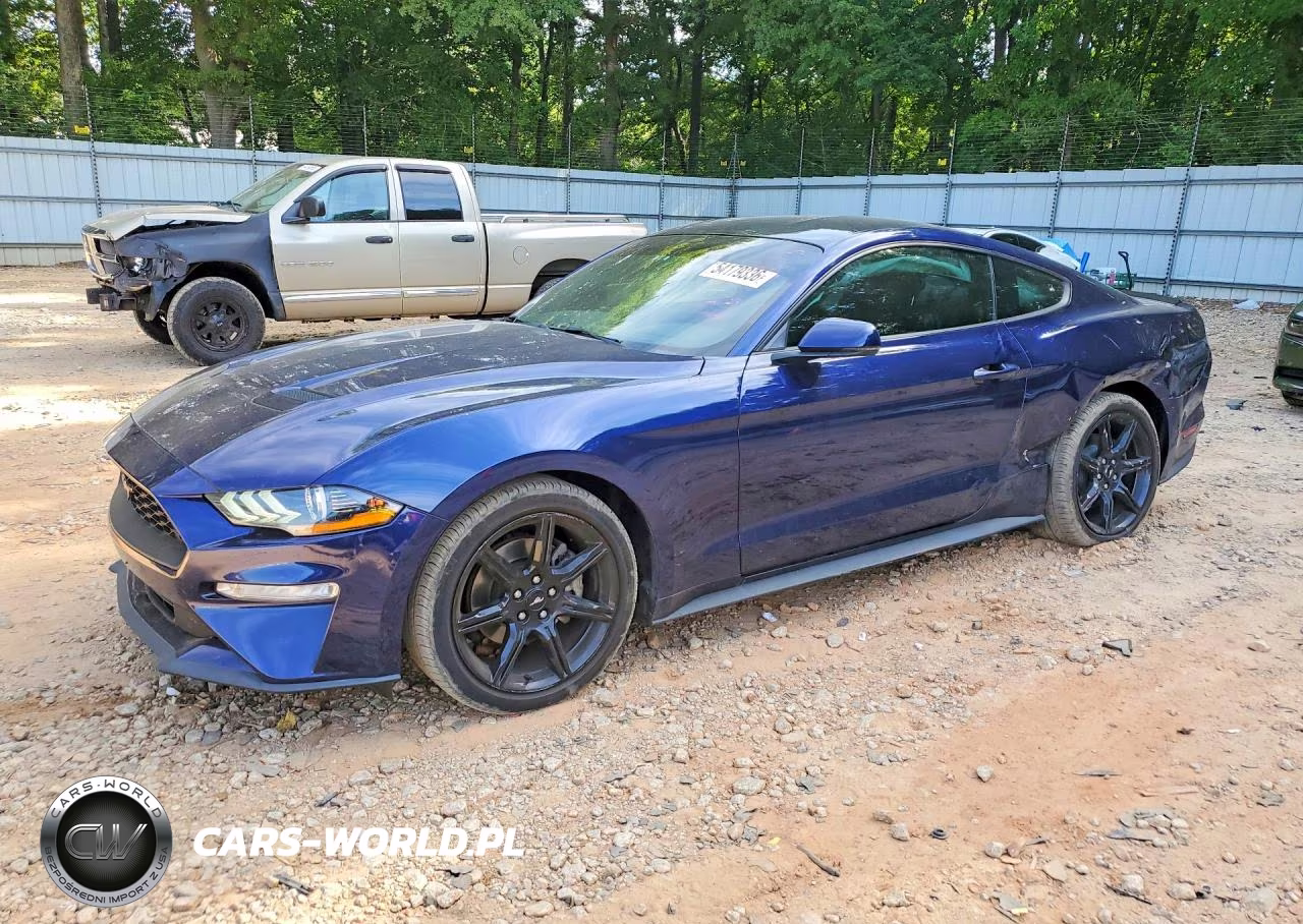 2019 Ford Mustang