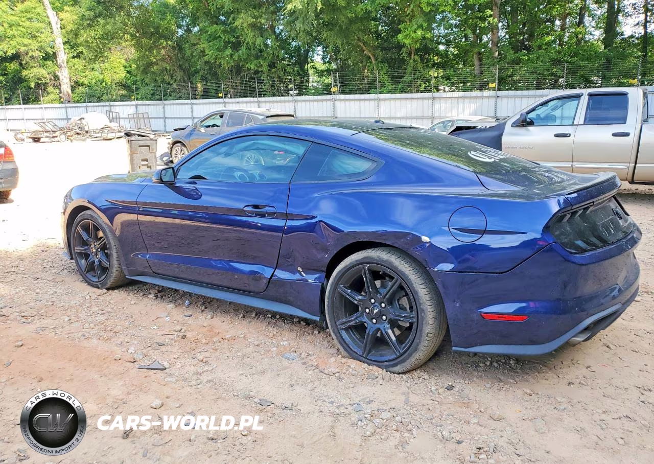2019 Ford Mustang VIN:1FA6P8TH1K5117636 - 2