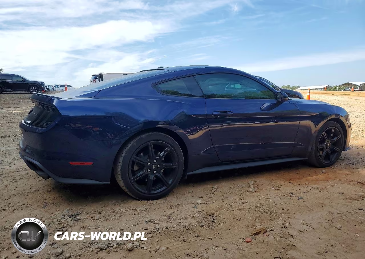 2019 Ford Mustang VIN:1FA6P8TH1K5117636 - 3
