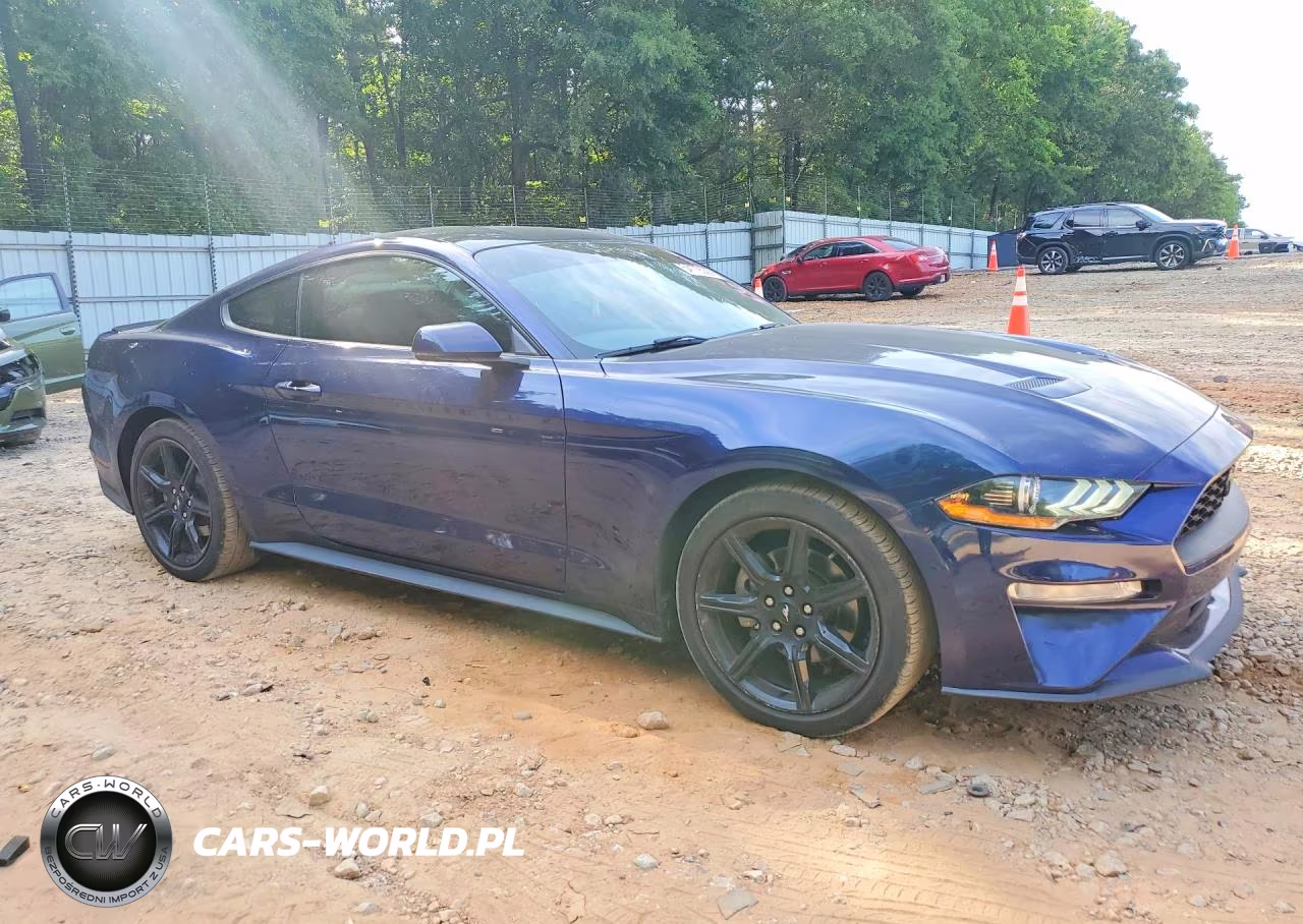 2019 Ford Mustang VIN:1FA6P8TH1K5117636 - 4