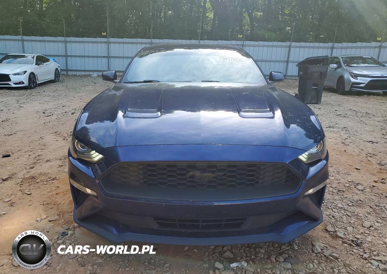 2019 Ford Mustang VIN:1FA6P8TH1K5117636 - 5