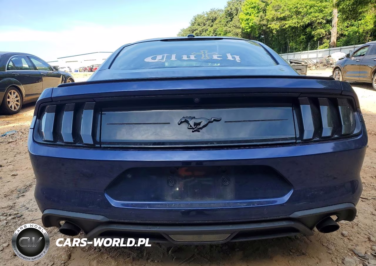 2019 Ford Mustang VIN:1FA6P8TH1K5117636 - 6